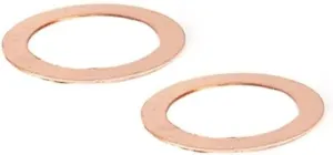 2PCS Washers Copper Fits for Strider SNG SMF Parts and Accessories