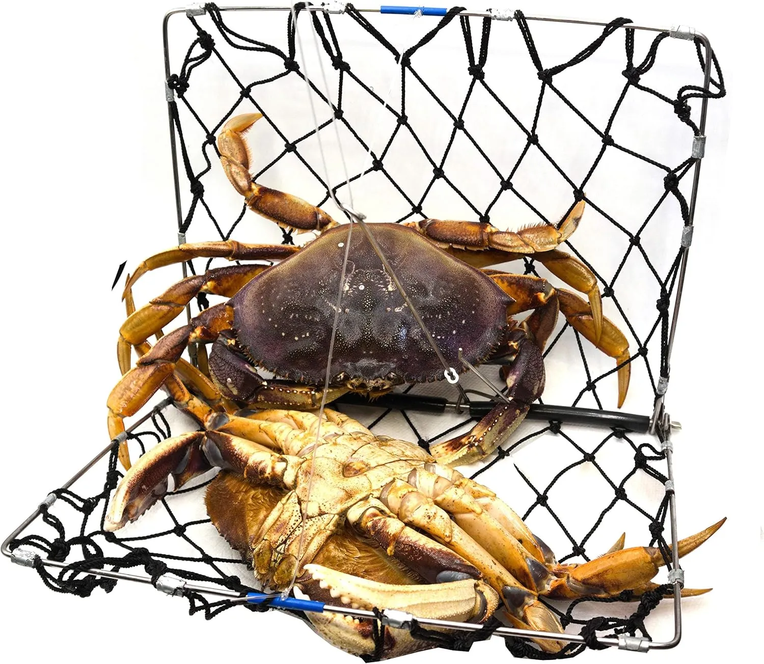 AirFly Foldable Crabjaw Trap with Bait Clip - Redesigned Rectangle Castable Crab Hawk Pot/Ring for Dungeness and Blue Crabs in FL, OR, WA, TX, and CA, Designed in San Francisco, USA