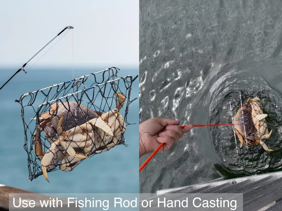 AirFly Foldable Crabjaw Trap with Bait Clip - Redesigned Rectangle Castable Crab Hawk Pot/Ring for Dungeness and Blue Crabs in FL, OR, WA, TX, and CA, Designed in San Francisco, USA