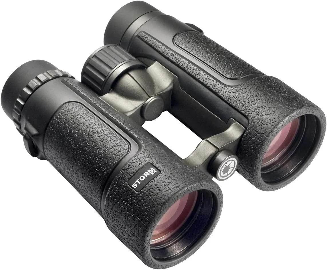 BARSKA 10x42 Storm EX Binoculars