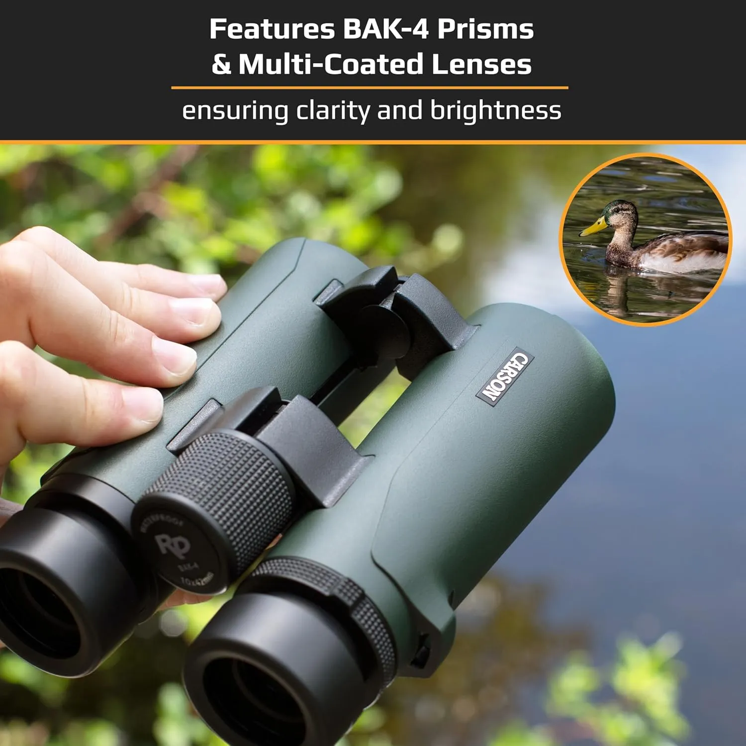 Carson RD Series 8x42mm Open-Bridge Waterproof High Definition Full Sized Binoculars (RD-842)