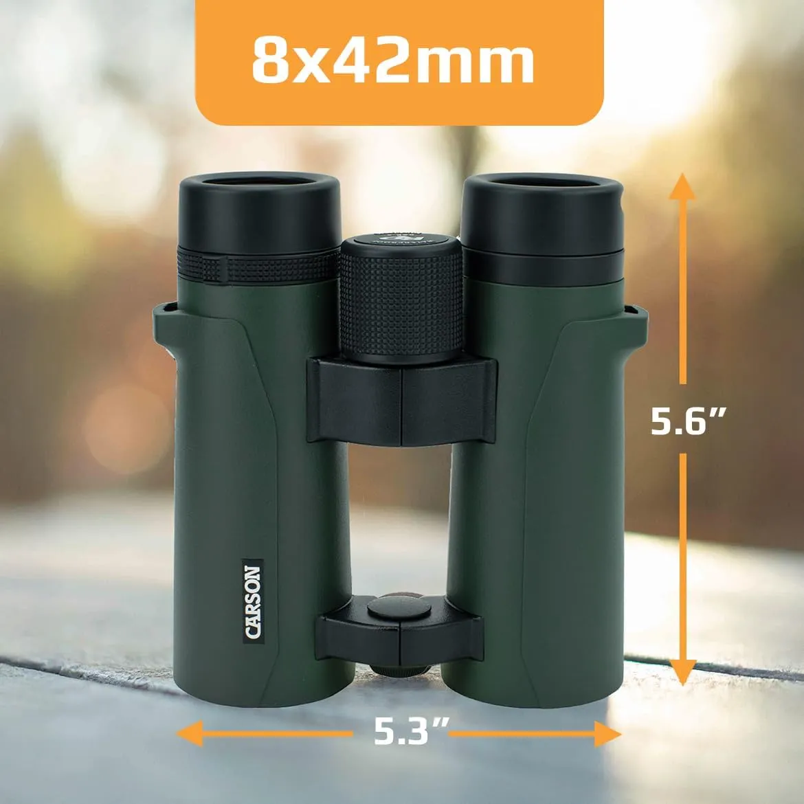 Carson RD Series 8x42mm Open-Bridge Waterproof High Definition Full Sized Binoculars (RD-842)