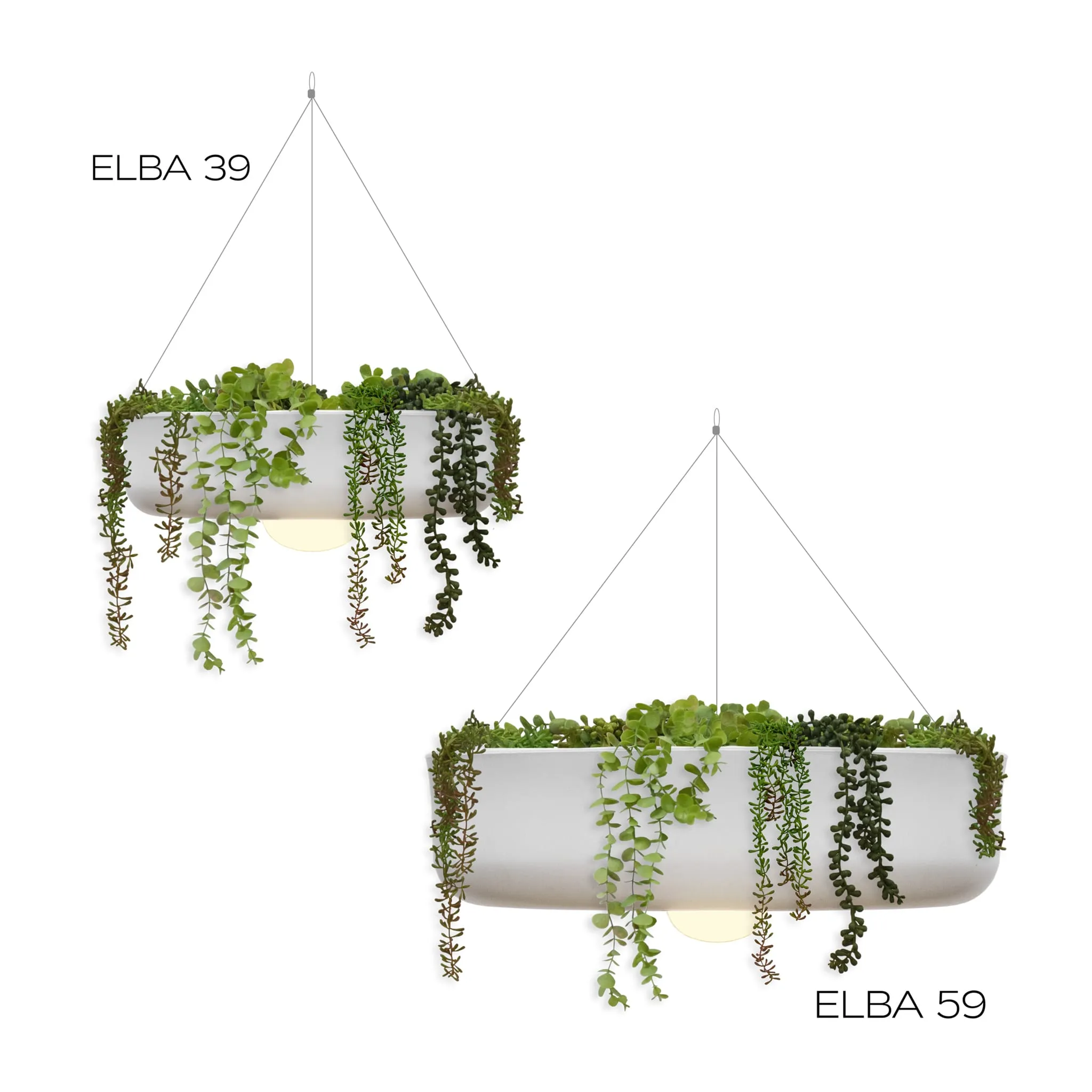 Elba