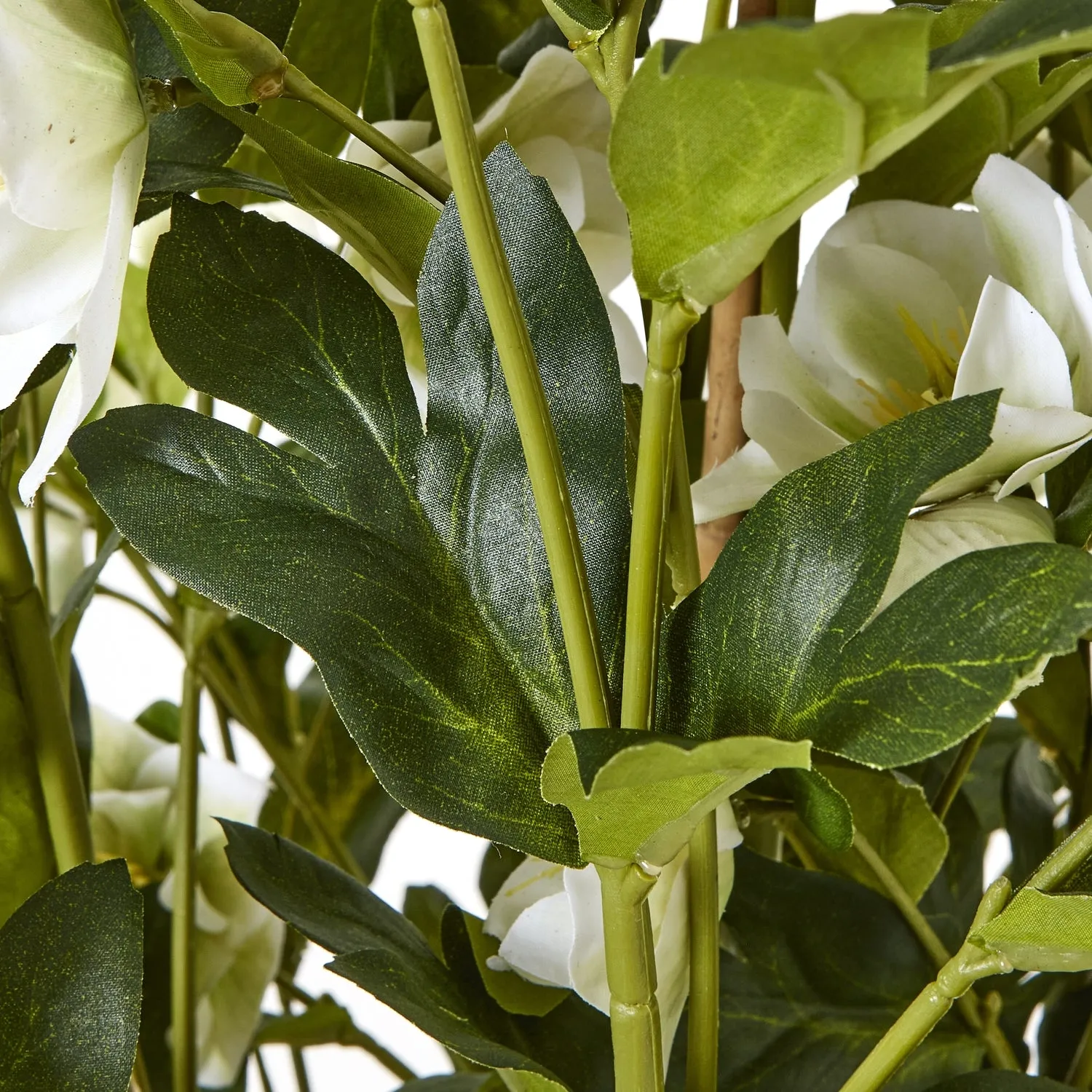 Large white faux hellebore in a grey pot