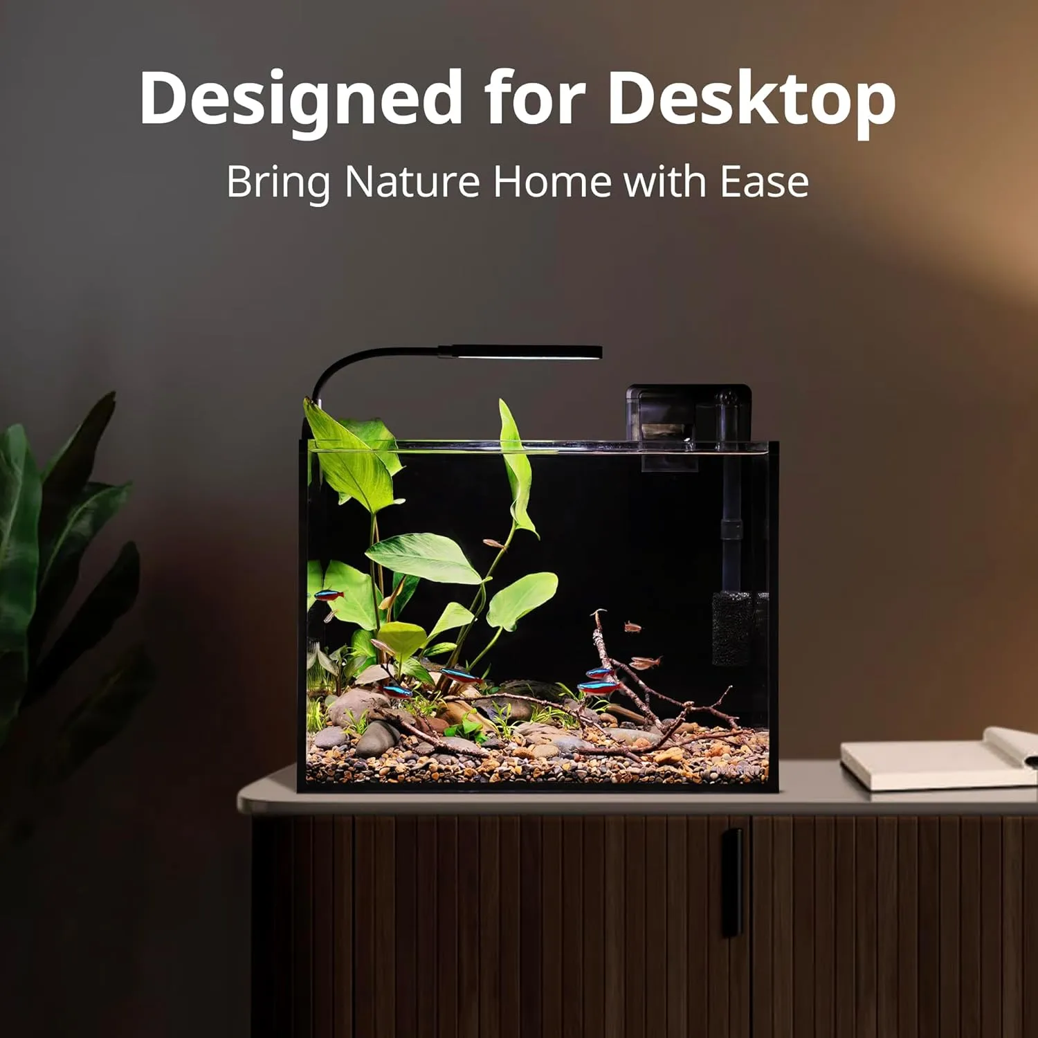 NICREW 2.5 Gallon Nano Nature Aquarium Kit, Ultra-Clear Rimless Desktop Fish Tank with Light and Filter, Perfect for Small Fish, Shrimp, or Betta, Basic Version