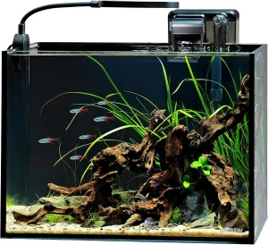 NICREW 2.5 Gallon Nano Nature Aquarium Kit, Ultra-Clear Rimless Desktop Fish Tank with Light and Filter, Perfect for Small Fish, Shrimp, or Betta, Basic Version