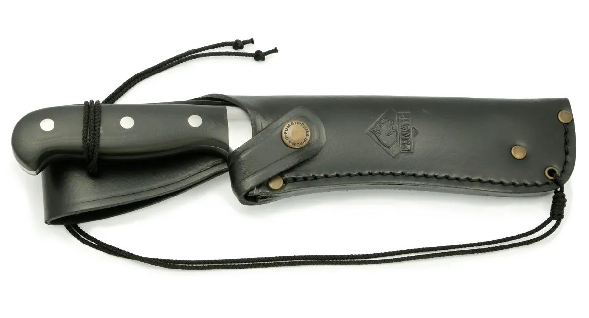 PUMA IP survival, G10