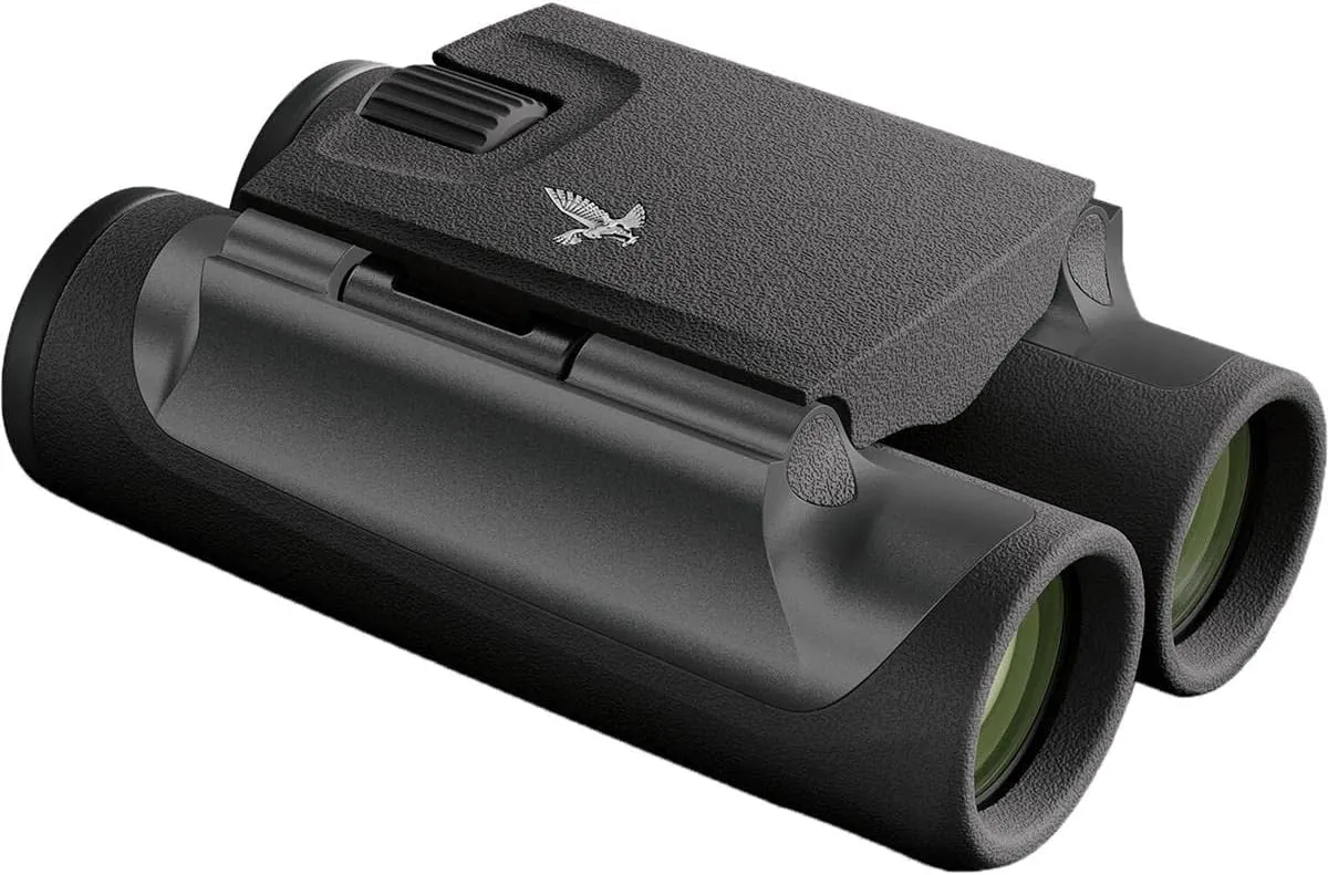 SWAROVSKI Optik 10x25 CL Pocket Binoculars with Rugged and Dustproof Design (Anthracite, Mountain Field Bag)