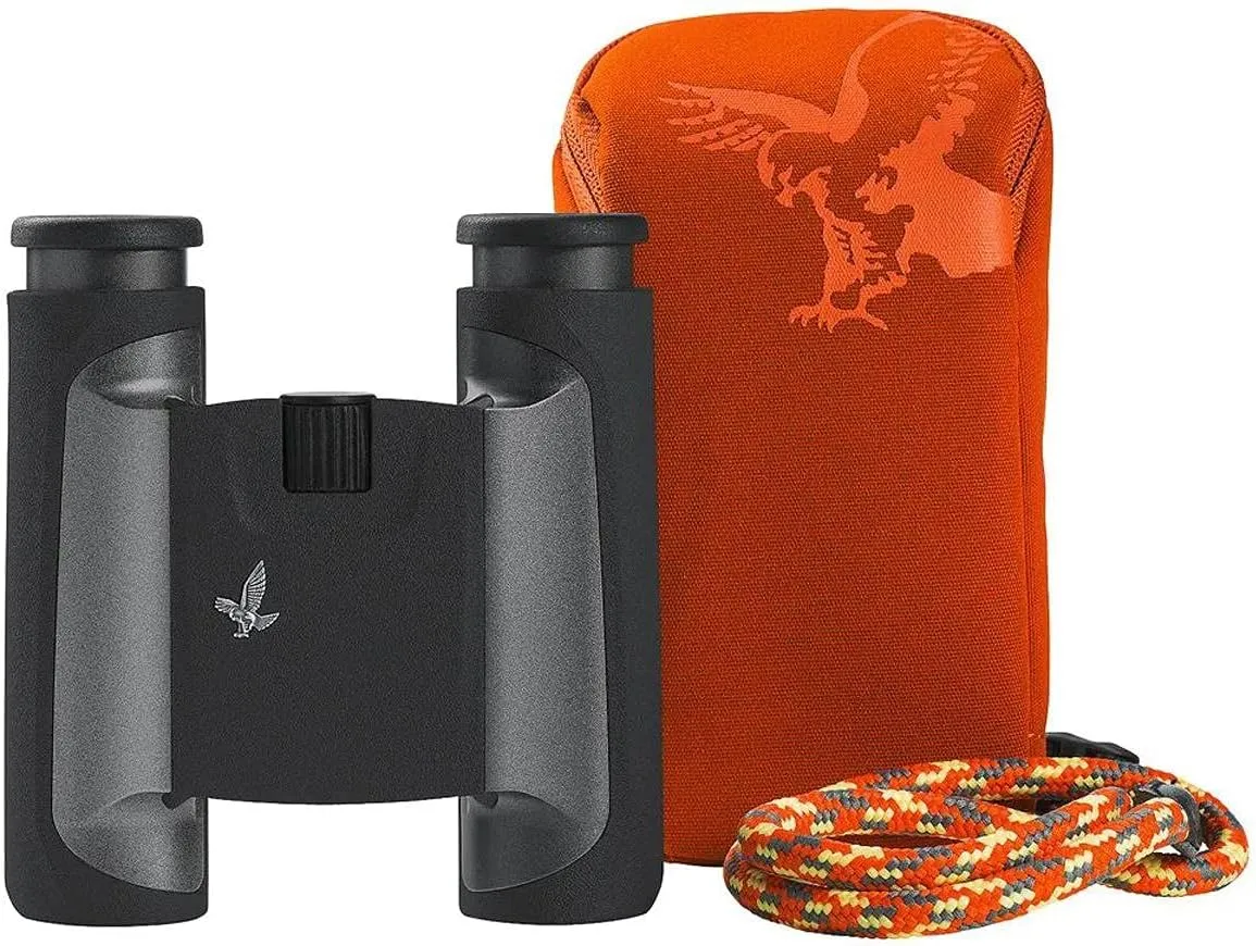 SWAROVSKI Optik 10x25 CL Pocket Binoculars with Rugged and Dustproof Design (Anthracite, Mountain Field Bag)