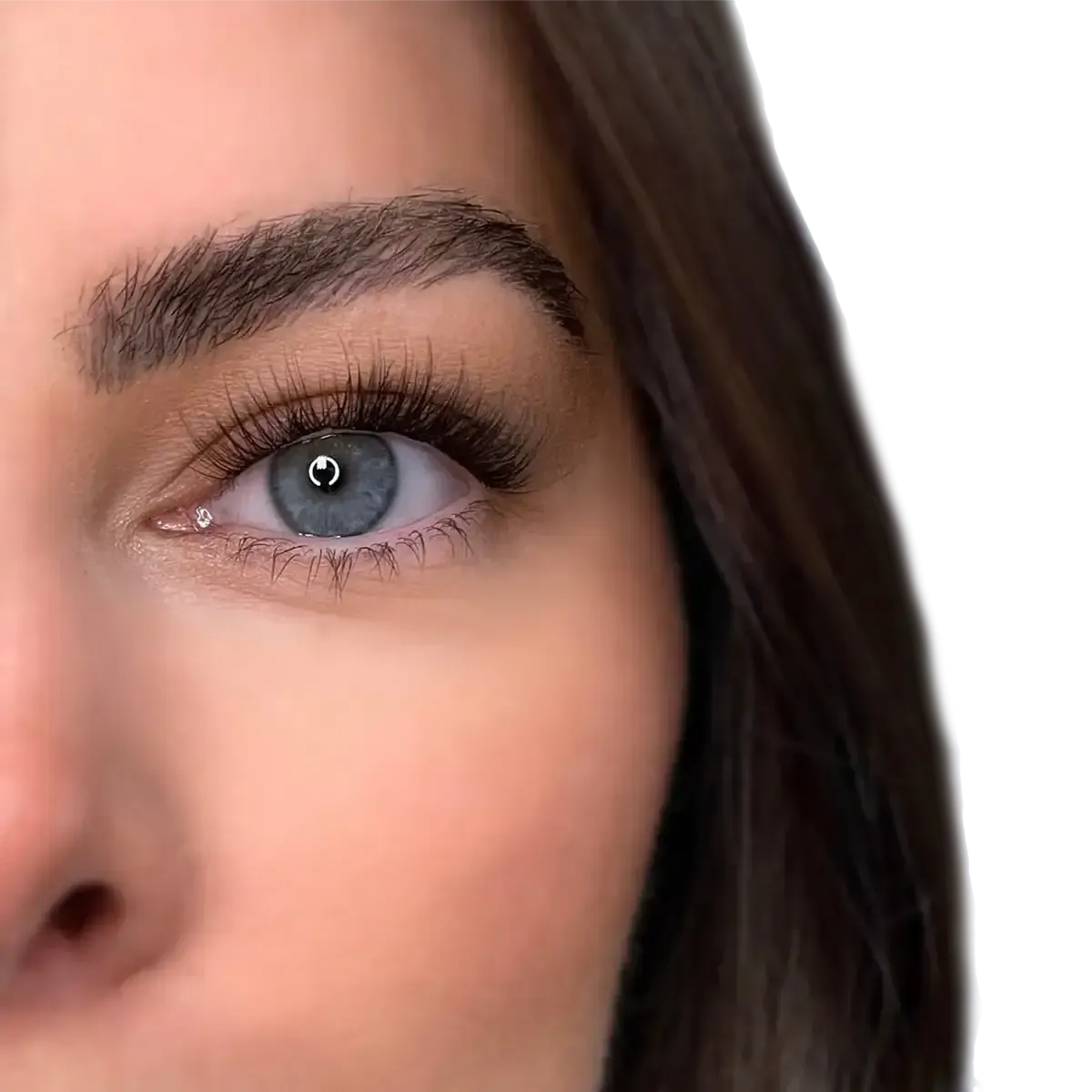 The Ultimate Method Lash Complete Collection