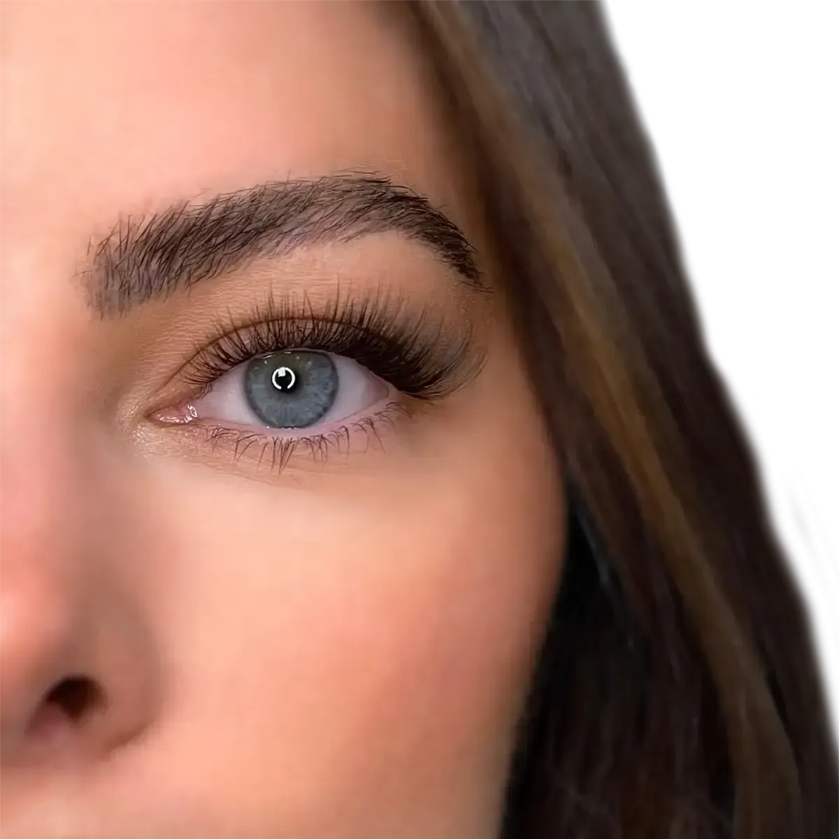 The Ultimate Method Lash Complete Collection