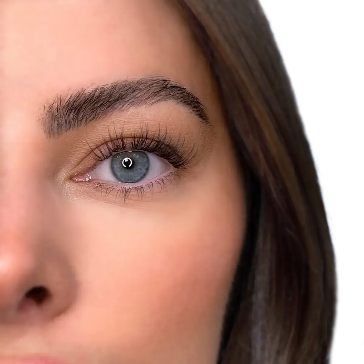 The Ultimate Method Lash Complete Collection