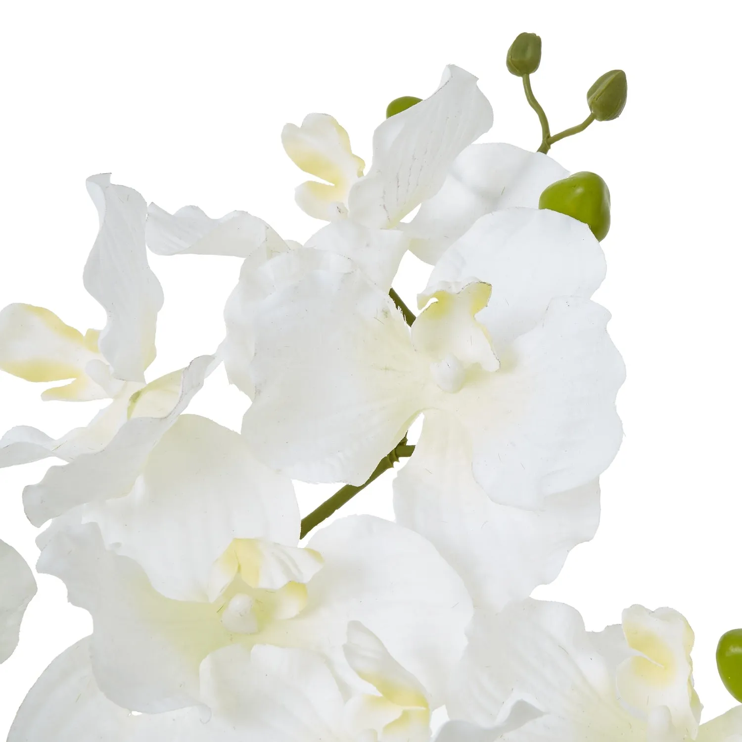 White potted faux orchid & fern in a ceramic pot