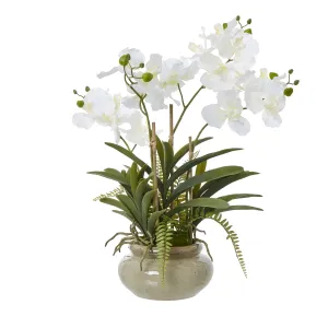 White potted faux orchid & fern in a ceramic pot