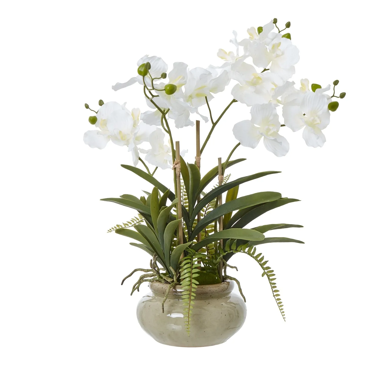 White potted faux orchid & fern in a ceramic pot